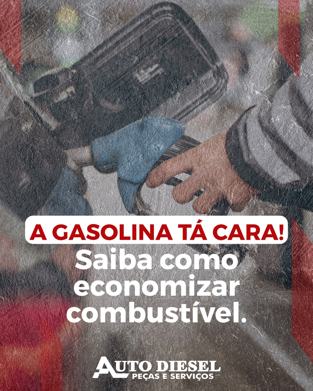 241748415 905584977006101 2710076984105788753 n